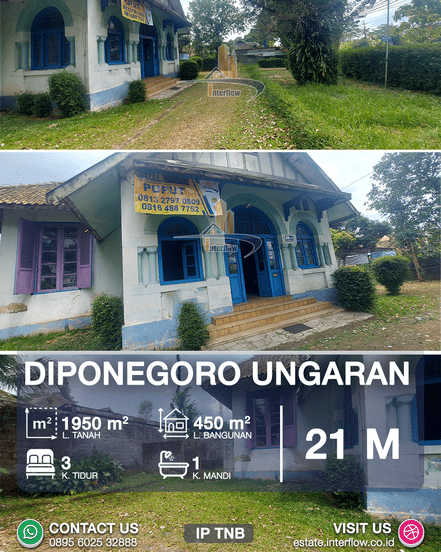 D191UTNB_1_optimized_500