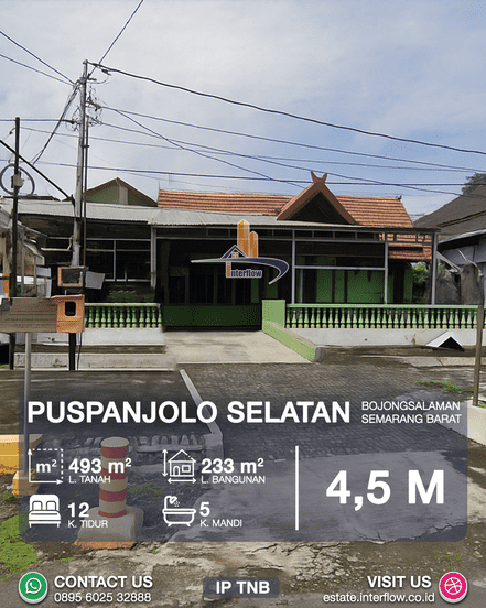 P38TNB_1_optimized_500