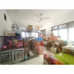 Rumah dijual di Jalan Anggrek, Pekunden, Semarang Tengah